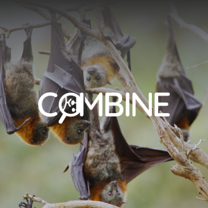 World Zoonoses Day: Raising Awareness for Emerging Viral Threats World Zoonoses Day: Raising Awareness for Emerging Viral Threats